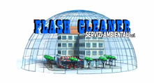 Logo Flash Cleaner